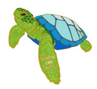 2025 State Pin - Sea Turtle - Single